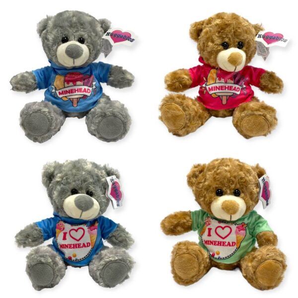 30358-10MIN-10″ BESPOKE HOODIE BEAR-MINEHEAD